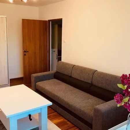 Apartment Joy Iasi 15 *