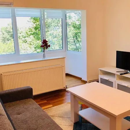 Joy Iasi 15 티미쇼아라