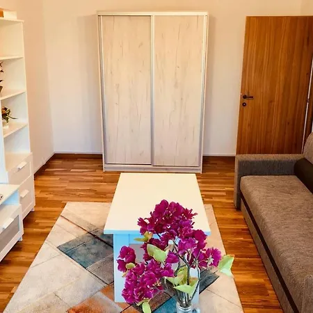 아파트 Joy Iasi 15 티미쇼아라