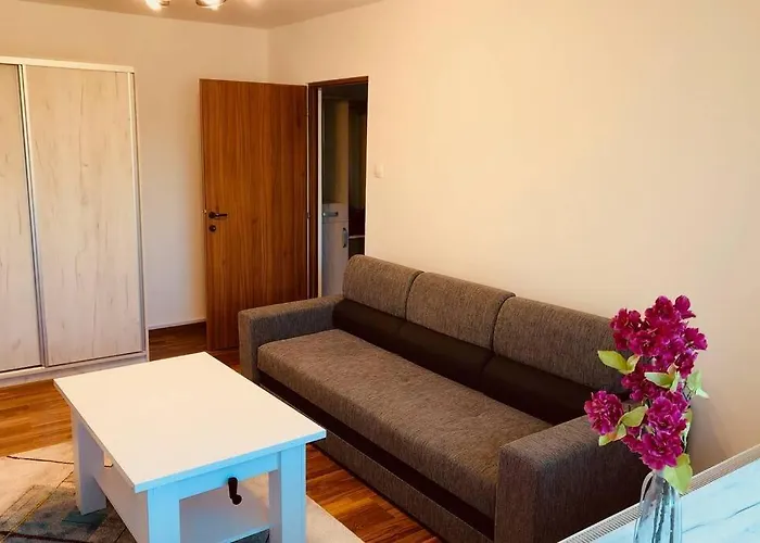 Apartamento Joy Iasi 15 *