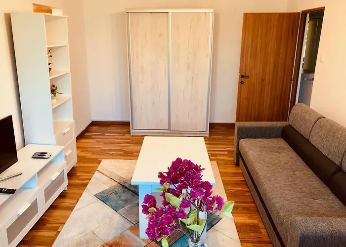 Apartamento Joy Iasi 15 Timisoara